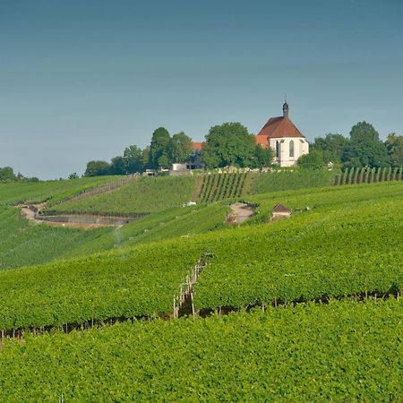 מלון Escherndorf Vogelsburg מראה חיצוני תמונה