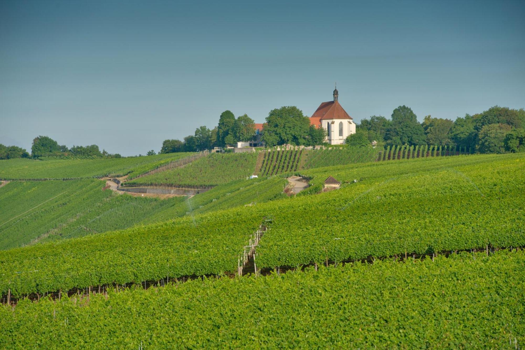 מלון Escherndorf Vogelsburg מראה חיצוני תמונה