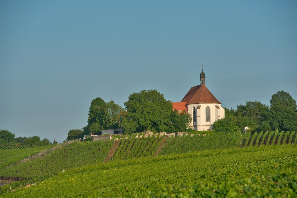 מלון Escherndorf Vogelsburg מראה חיצוני תמונה