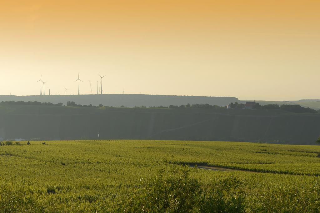 מלון Escherndorf Vogelsburg מראה חיצוני תמונה