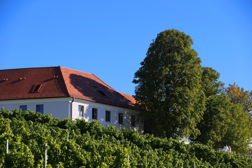 מלון Escherndorf Vogelsburg מראה חיצוני תמונה