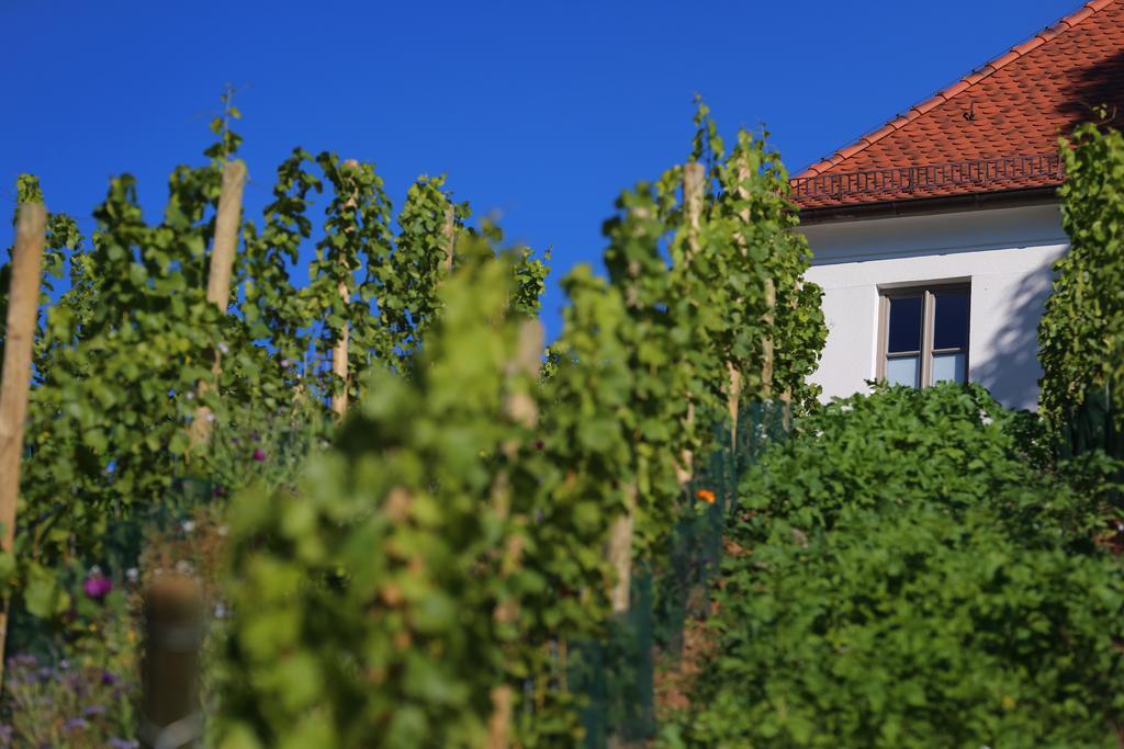מלון Escherndorf Vogelsburg מראה חיצוני תמונה