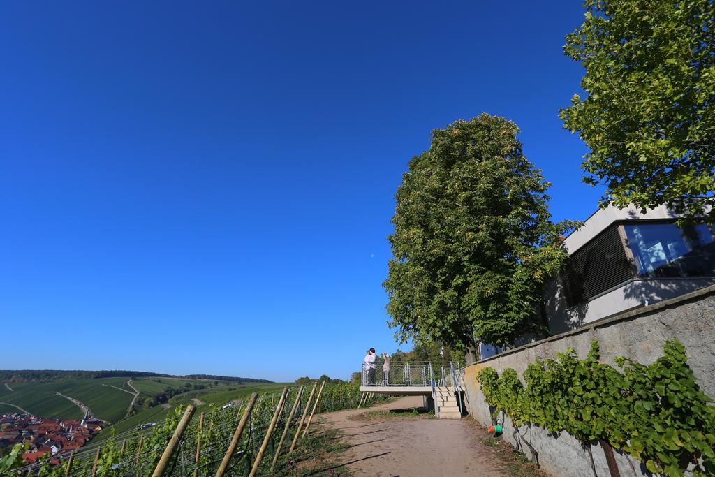 מלון Escherndorf Vogelsburg מראה חיצוני תמונה